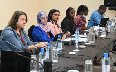 Workshop on Gender Statistics: Identifying and Addressing Gaps in Gender Statistics for SDG Monitoring in Africa